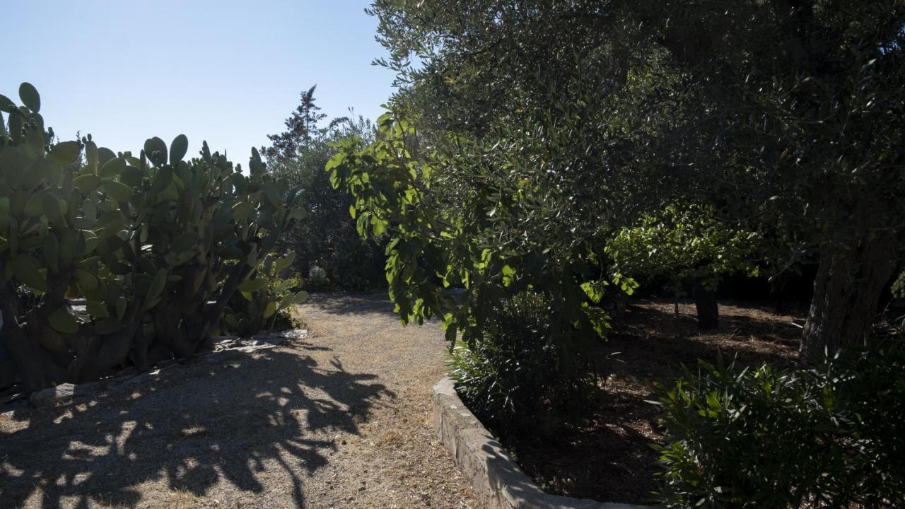 Il rifugio nel verde Villa Monopoli Esterno foto