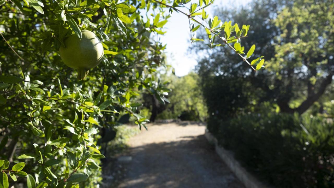 Il rifugio nel verde Villa Monopoli Esterno foto