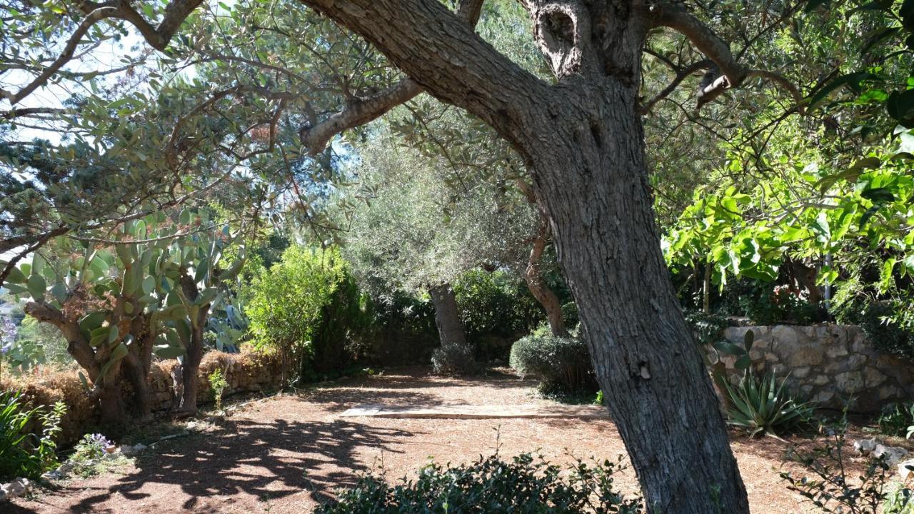 Il rifugio nel verde Villa Monopoli Esterno foto